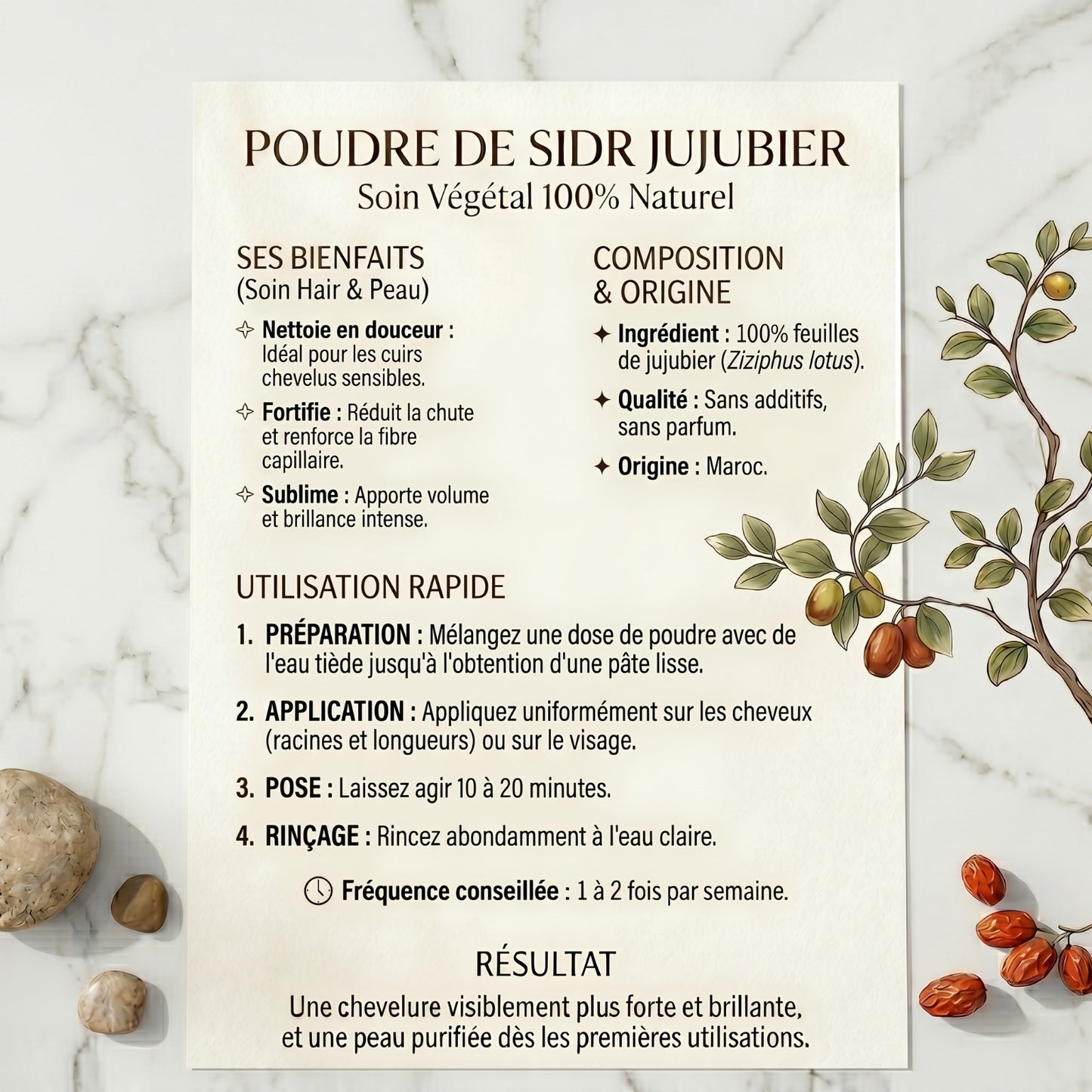 🌿 Poudre de Sidr (Jujubier) – Purifie, Fortifie & Sublime Corps & Cheveux 100g